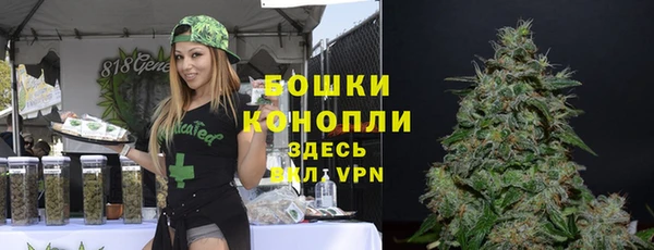 PSILOCYBIN Анива