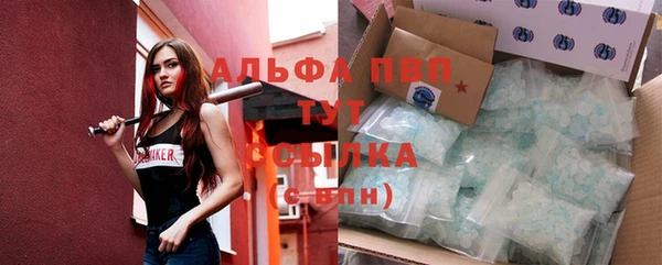 гидропоника Анжеро-Судженск